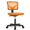 Cozy Lumbar Support Desk Chair