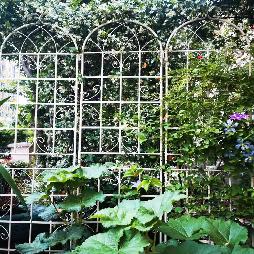 Rustproof Garden Trellis Set for Climbing Plants