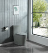 Eco-Friendly Comfort Height Toilet with Soft Close - Light Grey