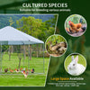 Ultimate Outdoor Chicken & Small Animal Haven