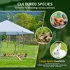 Ultimate Outdoor Chicken & Small Animal Haven