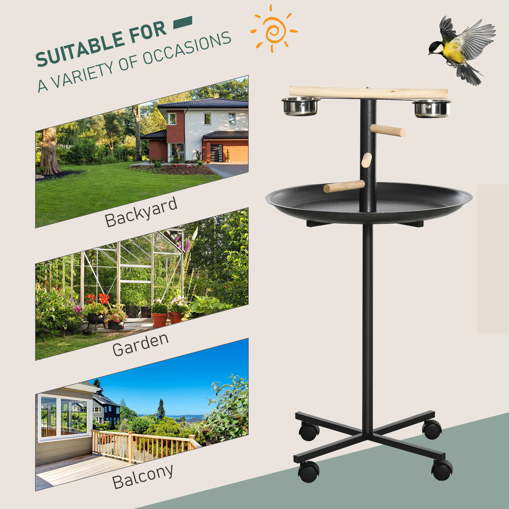 Birdie Play & Feed Stand