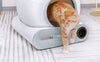 Clean Paws Self-Cleaning Litter Box