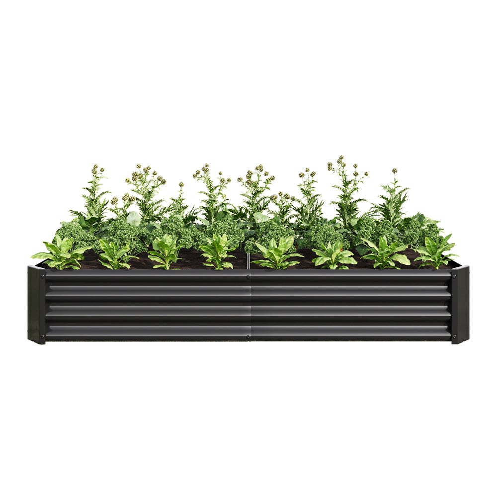 Sleek Black Garden Bed for Beautiful Blooms