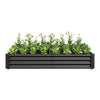 Sleek Black Garden Bed for Beautiful Blooms