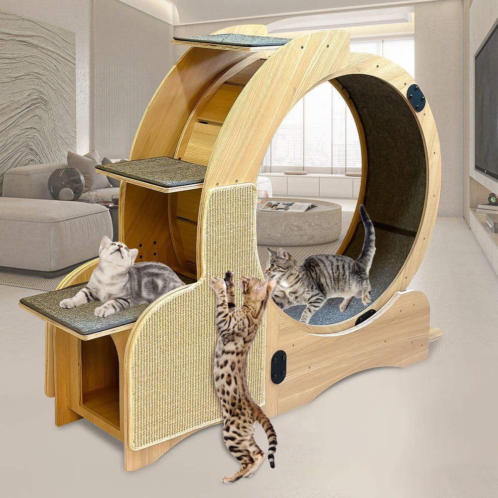 PurrfectPlay Activity Wheel for Cats