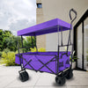 Adventure Wagon: The Ultimate Portable Kids' Trolley