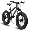 Adventure Cruiser Fat Tire Bike