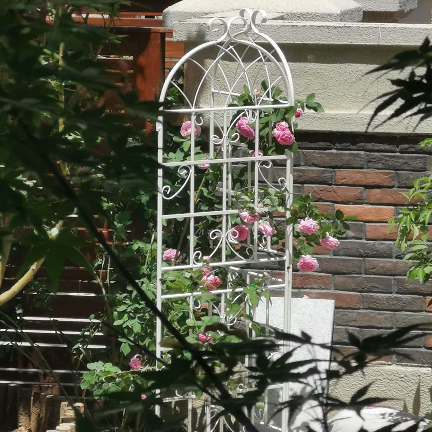 Chic Climbing Plant Trellis Set