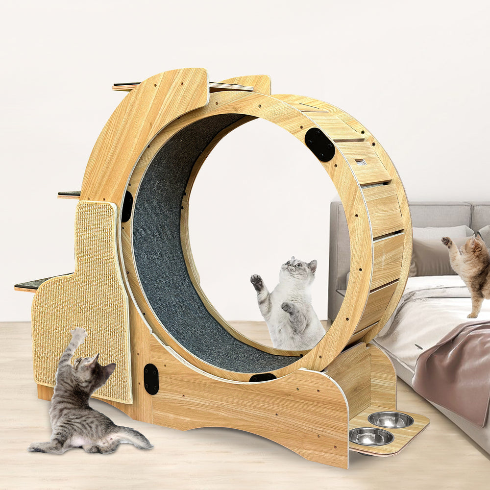 PurrfectPlay Activity Wheel for Cats