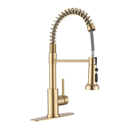 Golden Touch Kitchen Faucet with Pull Down Sprayer