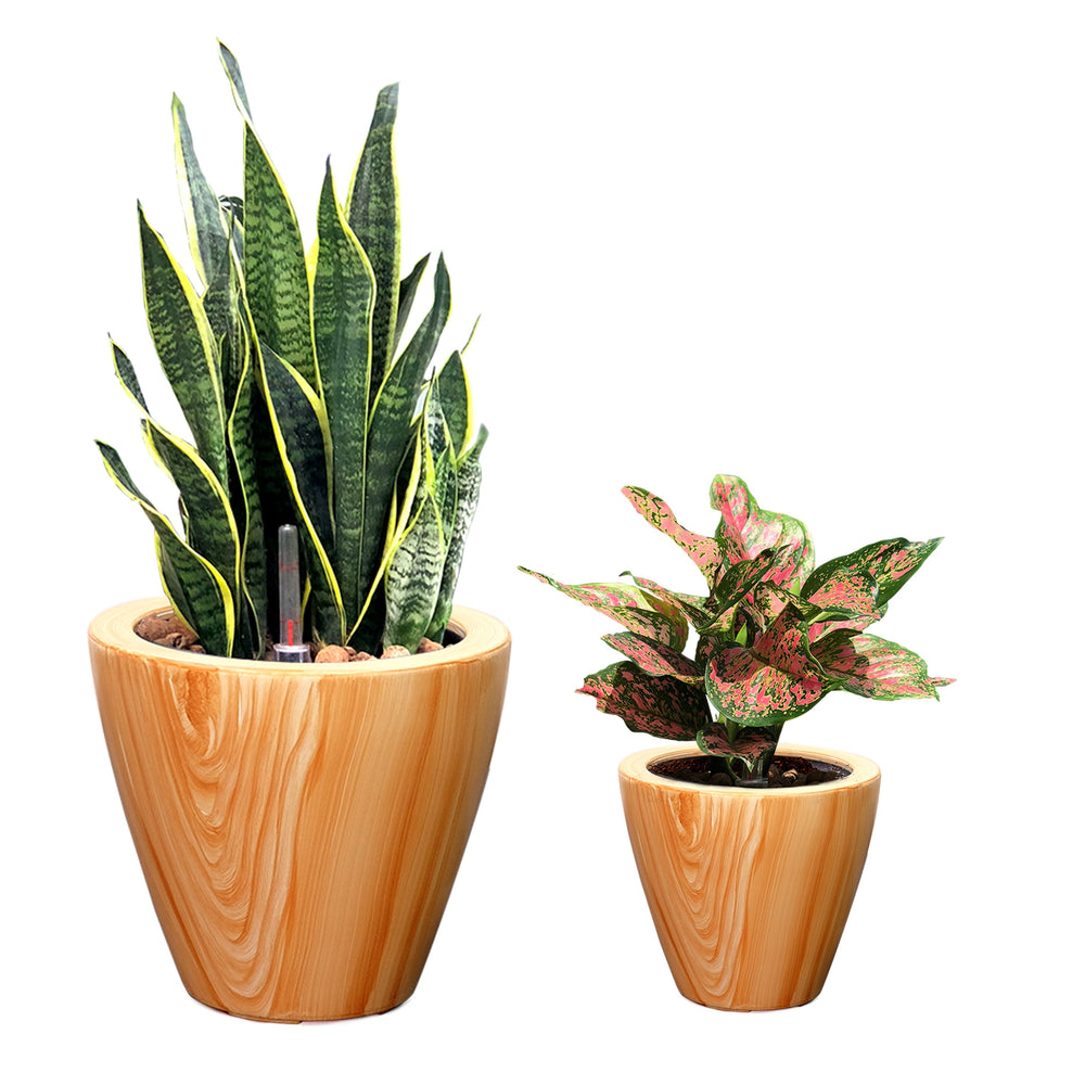 WaterWise Wooden Planter Set