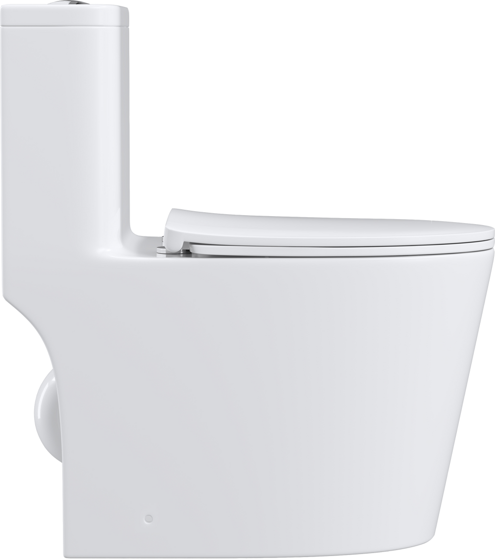 Premium One-Piece Toilet with Top Accessories