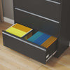 Secure Storage File Cabinet