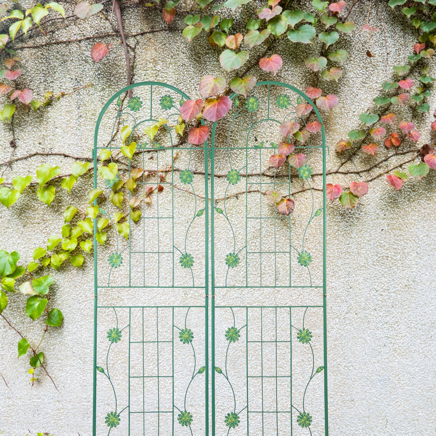 Rustproof Garden Trellis Duo for Climbing Plants