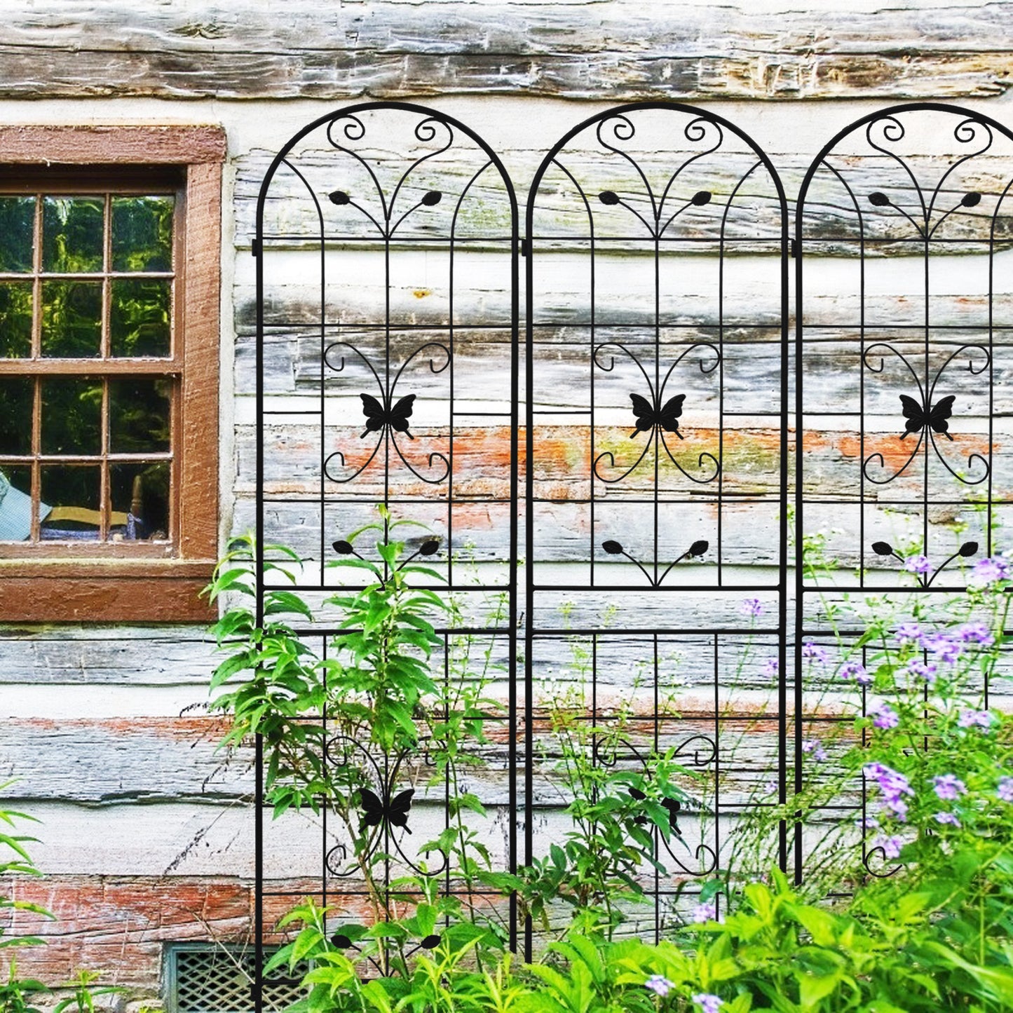 Garden Glory: Rustproof Climbing Plant Trellis Set