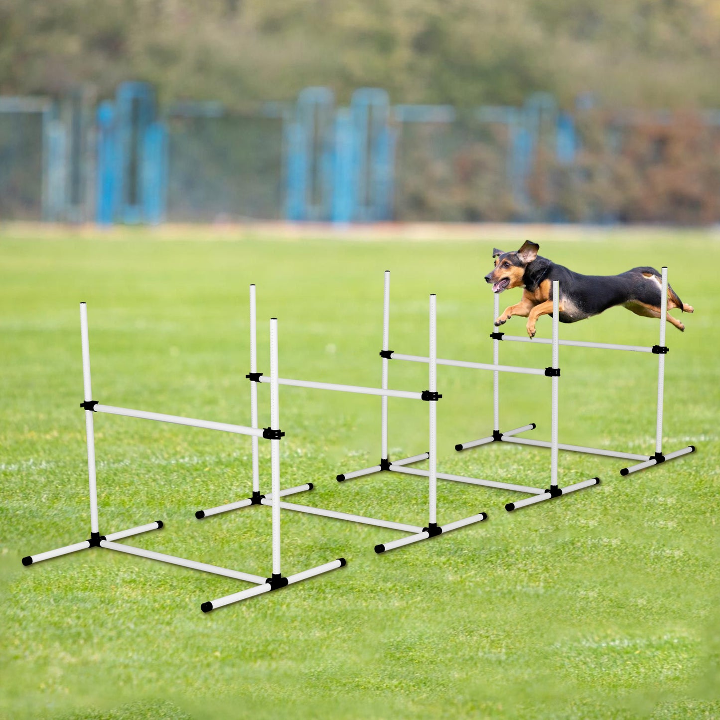 JumpSmart Dog Agility Set