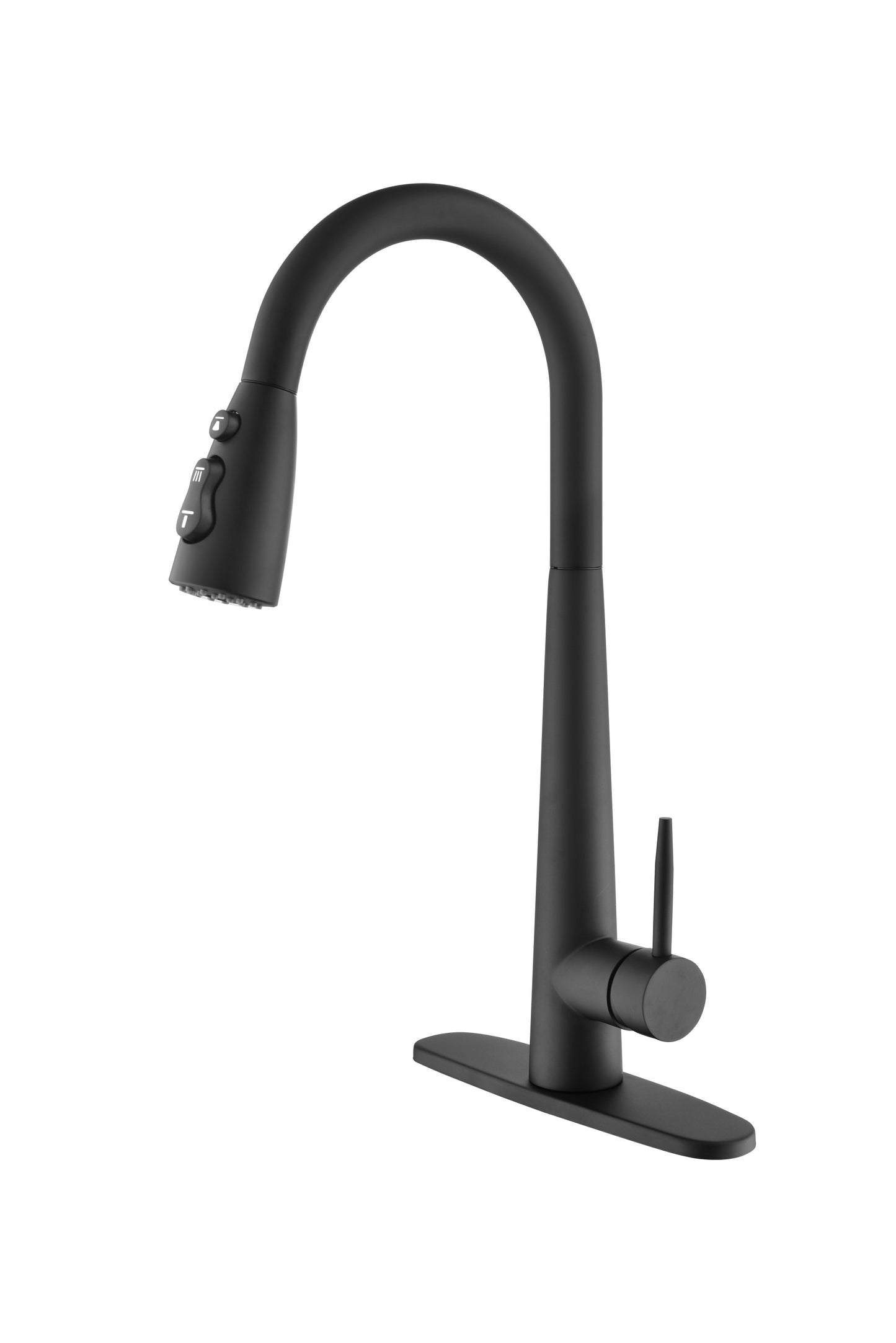 Matte Black Pull Down Kitchen Faucet