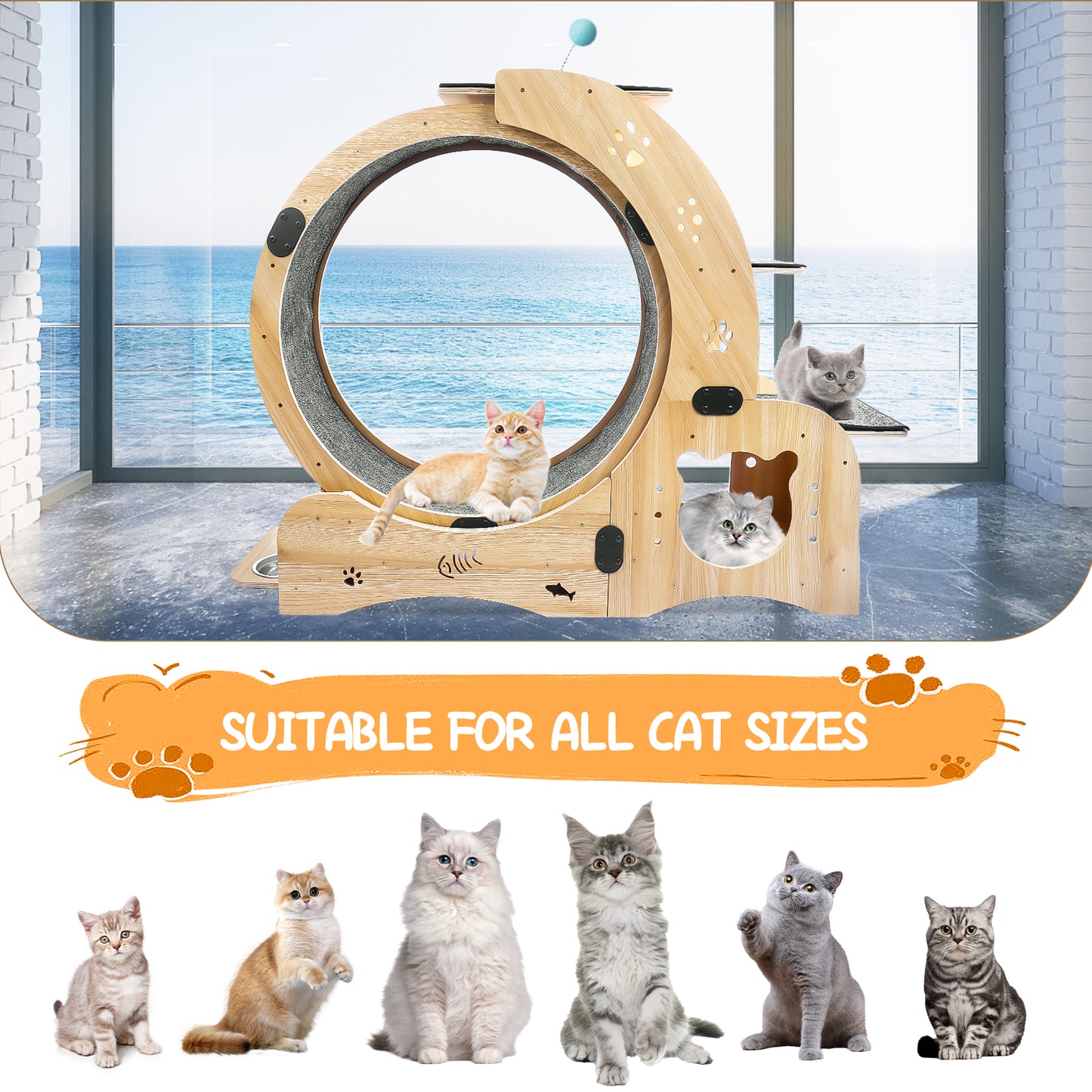 Purrfect Cat Exercise Wheel