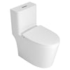 Premium One-Piece Toilet with Top Accessories