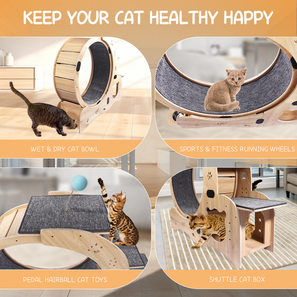 Purrfect Cat Exercise Wheel