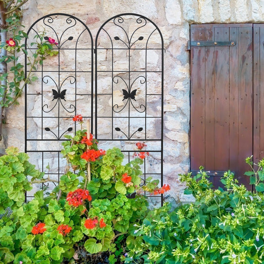 Garden Glory: Rustproof Climbing Plant Trellis Set