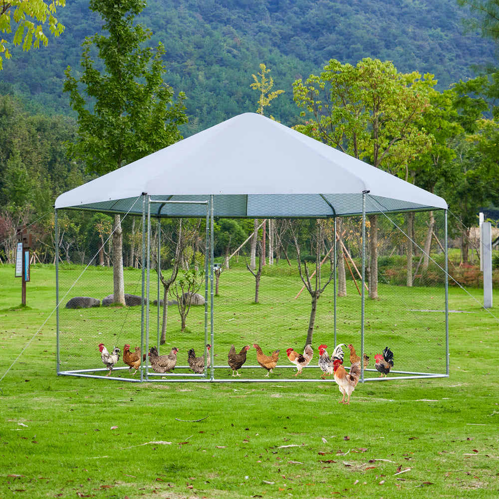 Ultimate Outdoor Chicken & Small Animal Haven