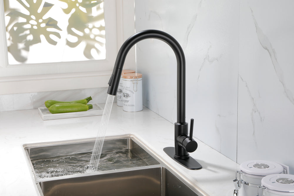 Spray & Splash Kitchen Faucet