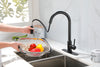 Spray & Splash Kitchen Faucet