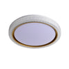 BrightChoice Dimmable LED Ceiling Light - Modern Flush Mount Fixture