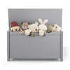 Cozy Kids Wooden Toy Chest with Safety Lid (Gray)