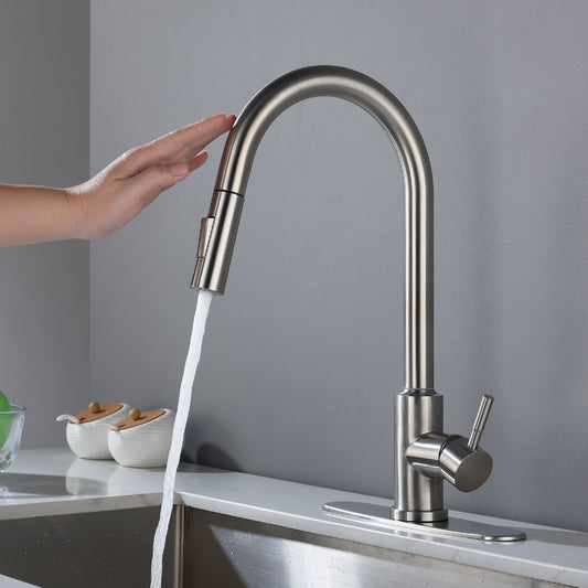 Spruce Touch Kitchen Faucet