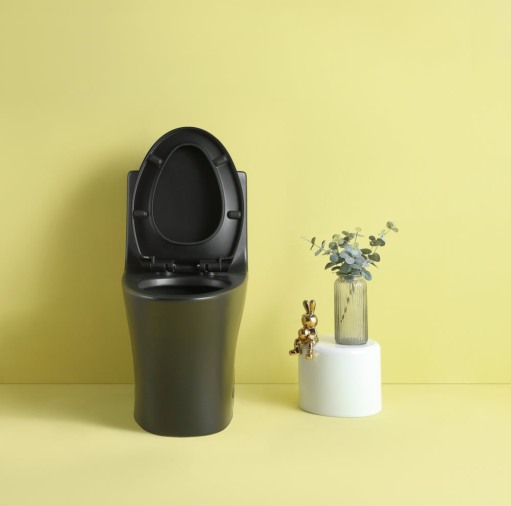 Eco-Friendly Comfort Height Toilet with Soft Close Seat