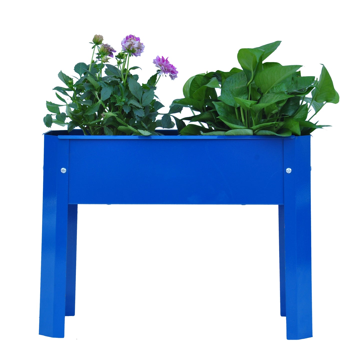 Garden Oasis: Chic Elevated Planter for Blooms and Greens