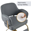 Chic Salon Barber Chair with Easy Adjust Hydraulic Pump