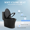 Eco-Friendly Comfort Height Toilet with Soft Close Seat