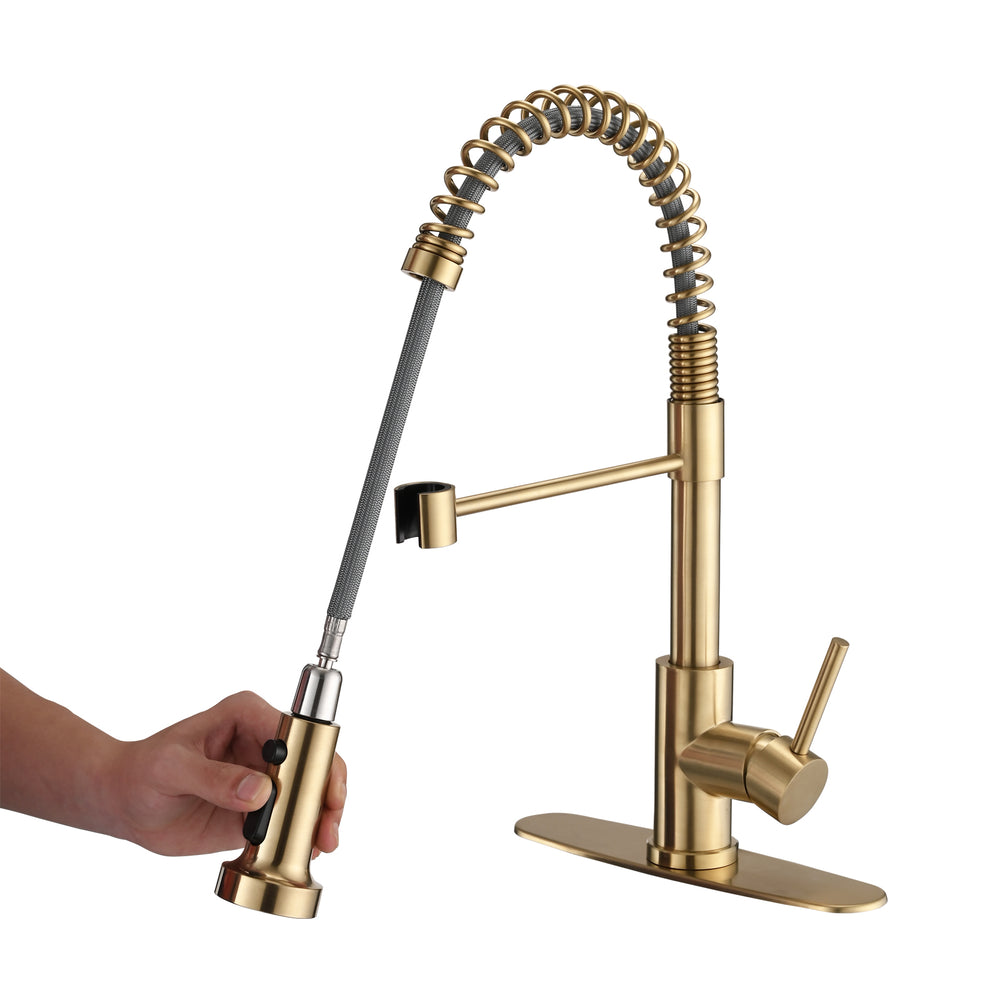 Golden Touch Kitchen Faucet with Pull Down Sprayer