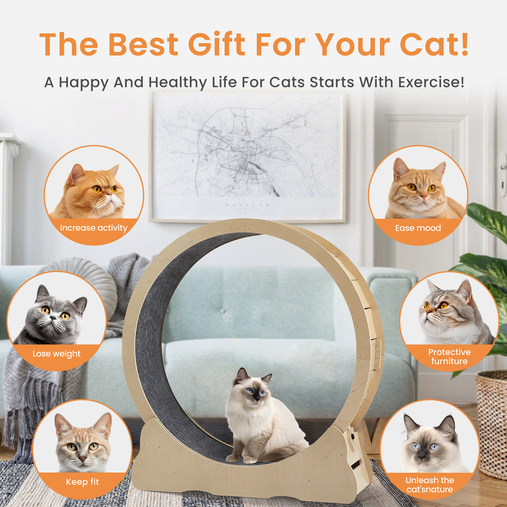 Purr-fect Cat Treadmill - Fun & Safe Exercise Wheel