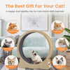 Purr-fect Cat Treadmill - Fun & Safe Exercise Wheel