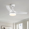 Bright Breeze Indoor Ceiling Fan