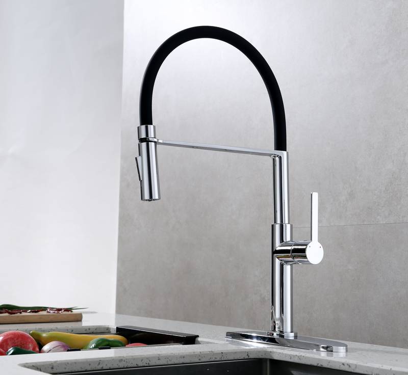 Sleek Pull-Down Kitchen Faucet