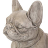 Paw-sitive Garden Buddy