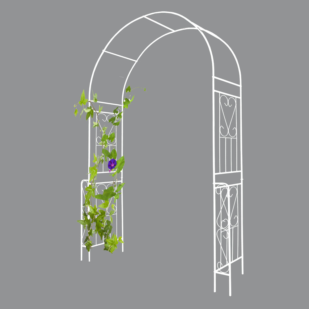 Garden Charm Arch for Climbing Blooms