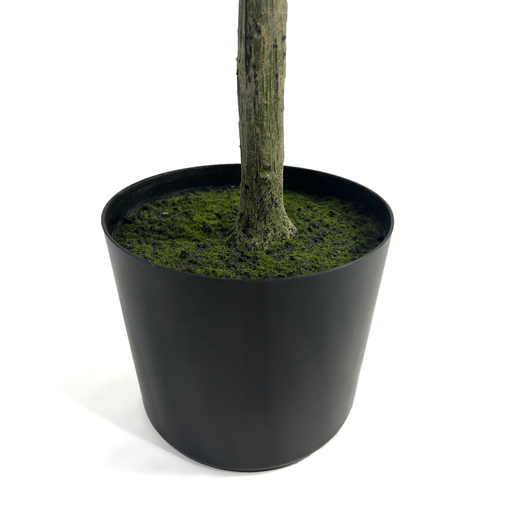 Lifelike Olive Tree – Perfect Indoor Decor!