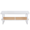 Sleek White Double Layer Coffee Table