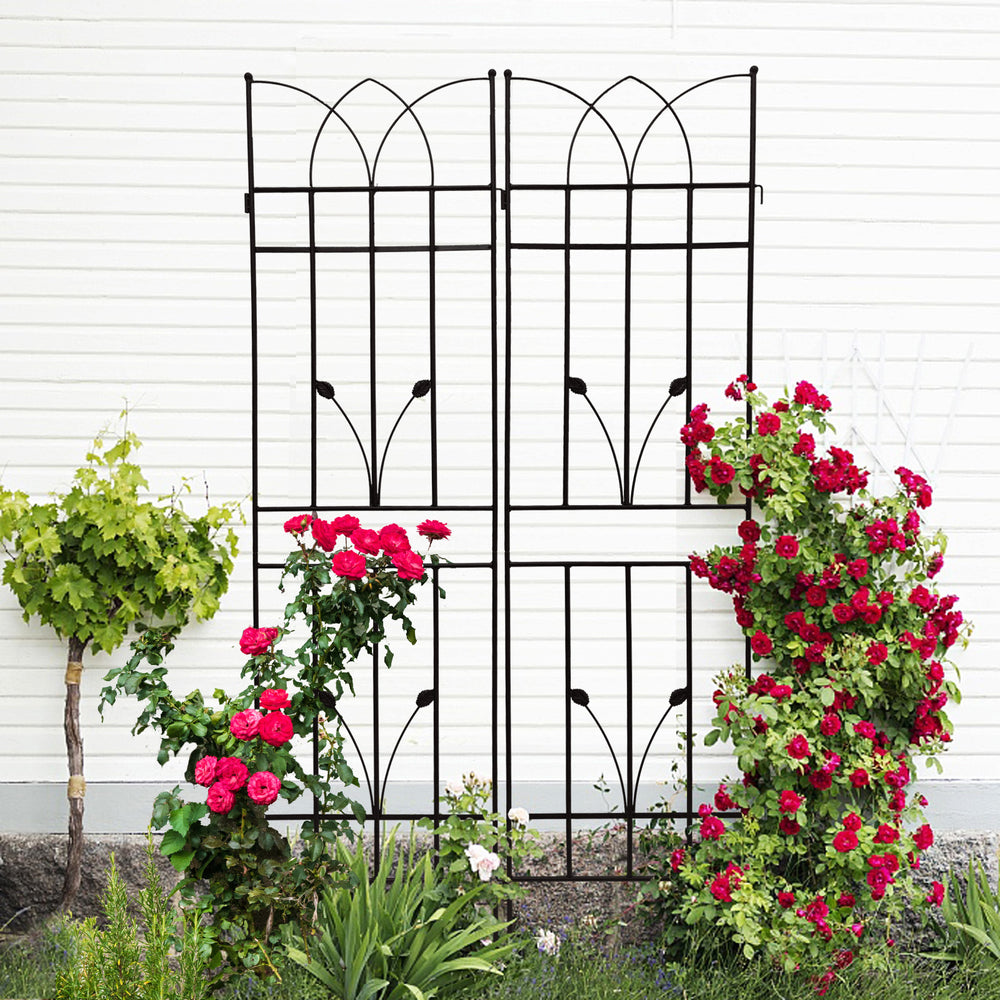 Stylish Metal Garden Trellis Set for Climbing Plants