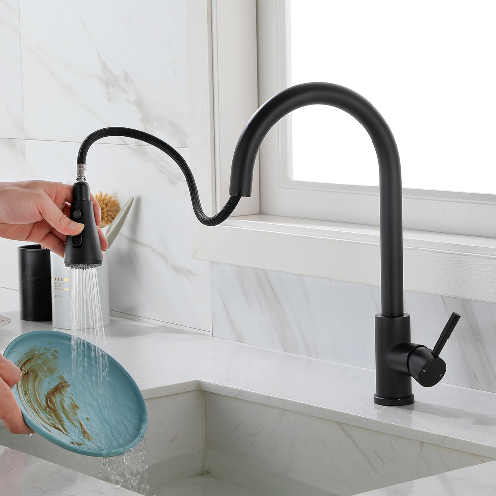 Versatile Pull-Out Kitchen Faucet