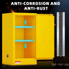 FireSafe Lab Cabinet