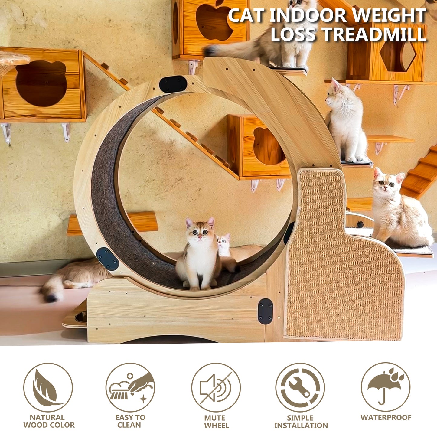 PurrfectPlay Activity Wheel for Cats