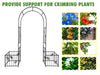 Charming Climbing Plant Arch